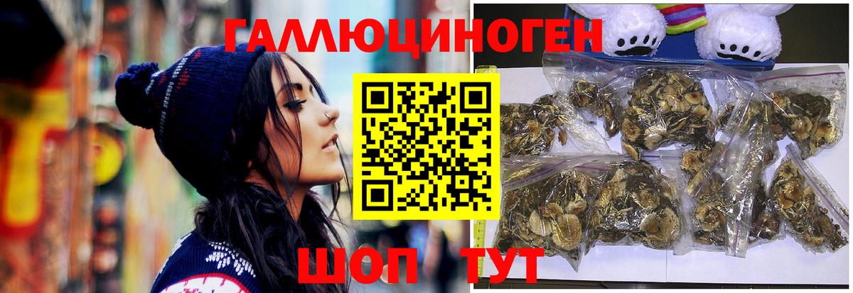 Псилоцибиновые грибы GOLDEN TEACHER  Галлюциногенные грибы прущие грибы  Белгород  Вход с VPN 
