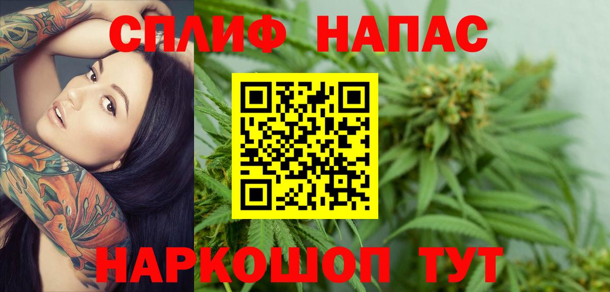 Конопля Bruce Banner  МАРИХУАНА ГИДРОПОН  Белгород  Вход с VPN  Марихуана OG Kush  Канабис тримм 
